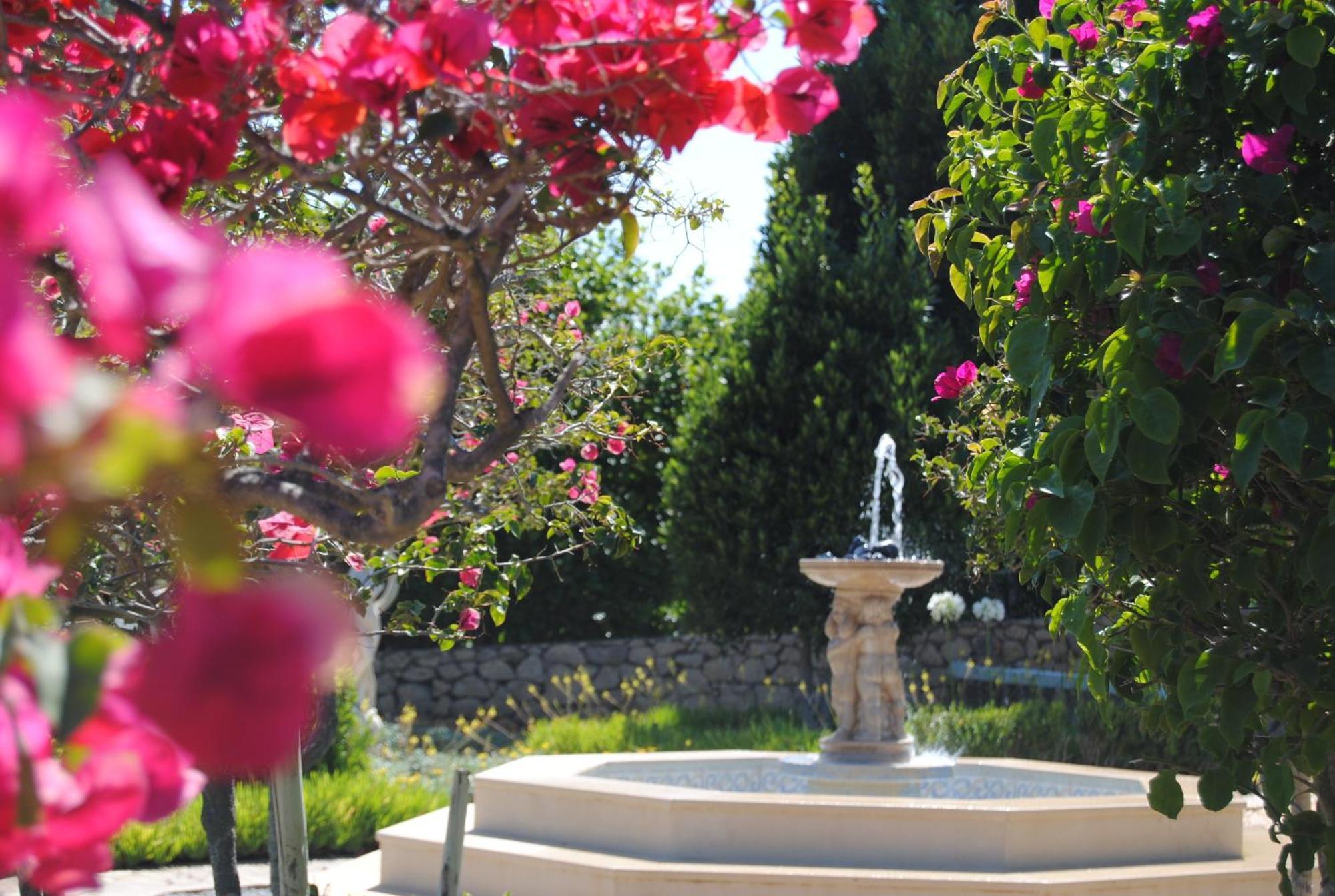 Quinta Bonita Country House & Gardens Valverde  Room photo